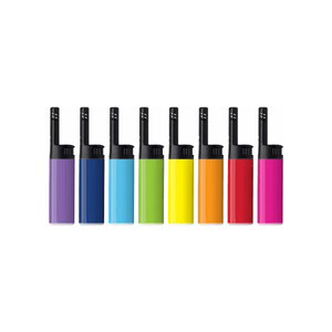 BIC EZ Reach Lighter
